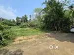 5 CENT ORGINAL LAND IN ALUVA PARAVUR ROUTE MANAKAPADY