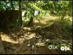 3,1/2 cent plot Chirakakod Mannuthy Trissur