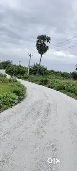 Agriculture land
