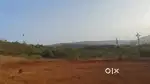 NA plot available for sale in radhanagari ,kolhapur