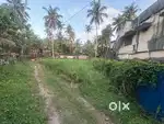 Suitable for turf paly ground