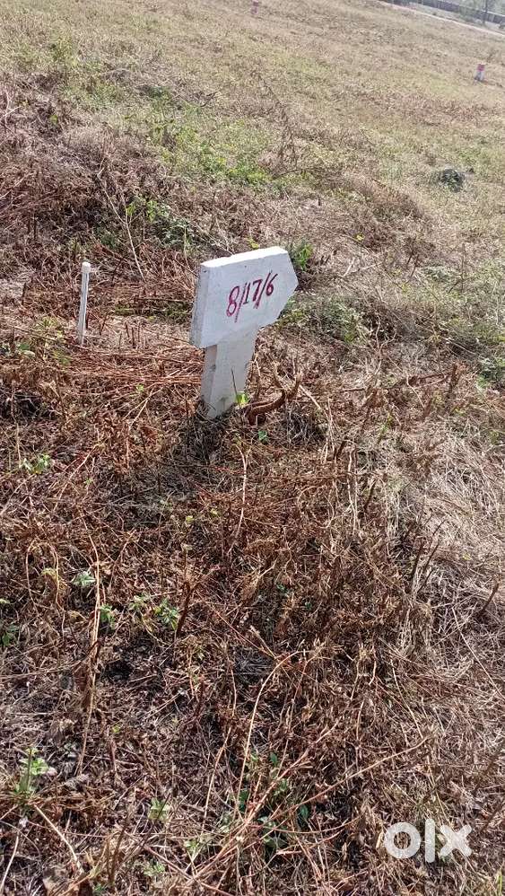 East facing, dhamagaon road plot in a well developed layout.