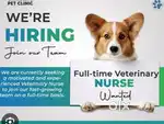 Pet clinic vacancy morning 10:30-2:30 & eve 5:30-8:30