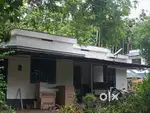 38 cent house  property urgent sale price negatioable