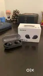 Sony WF-C500