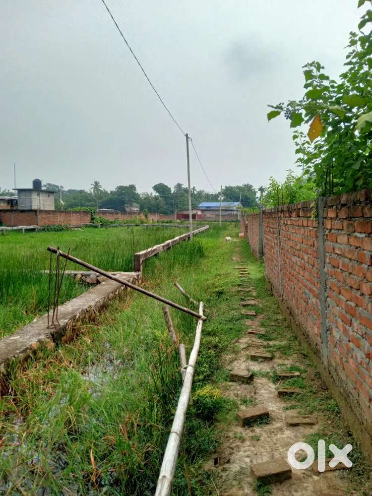 15 leca mati under belt area selling urgent direct owner