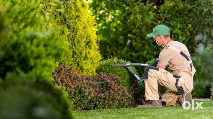 Maali (Gardener)