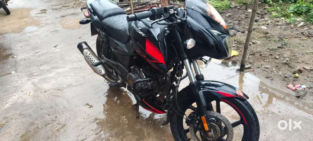 Pulsar double disk 2020