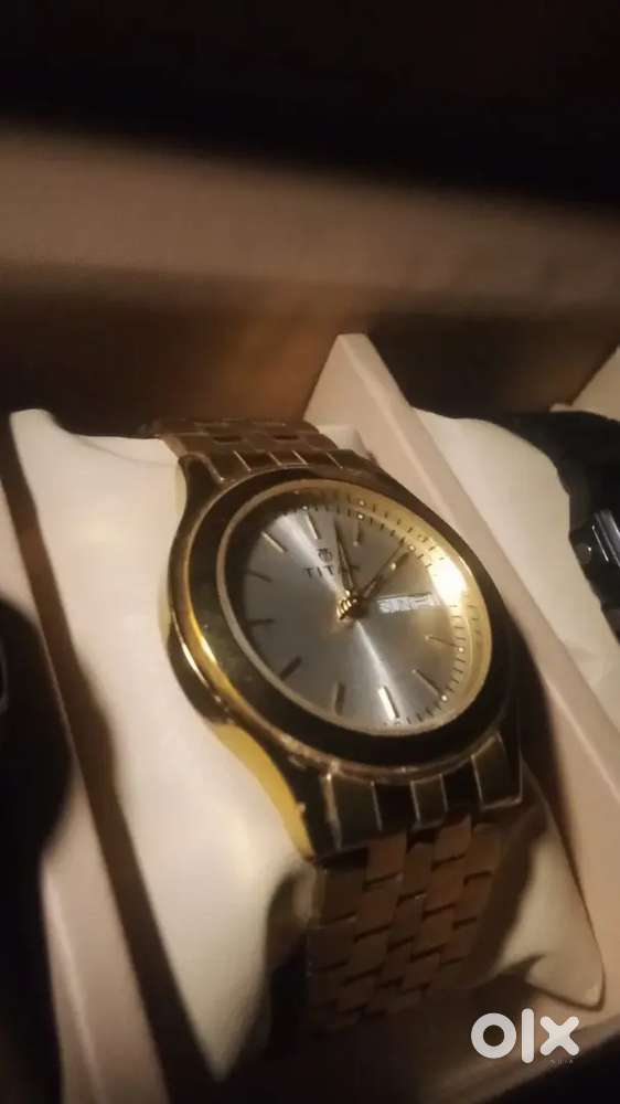 Titan Metal Analog with Day and Date for Men