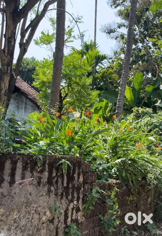 Beautiful plot for sale