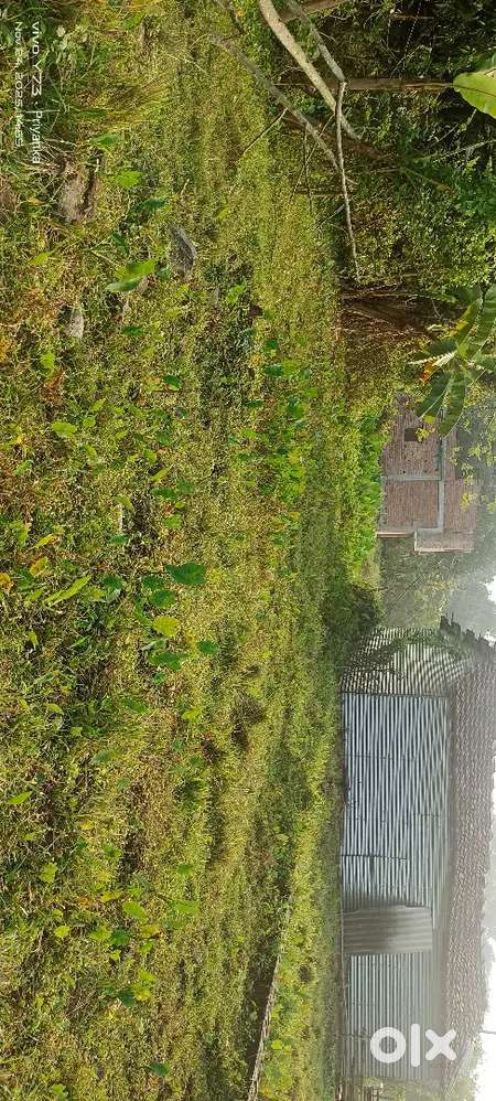 Bendal chandanpur near maa vata