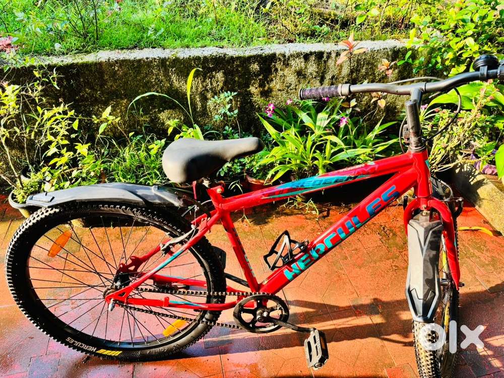 Stylish bycycle for boys