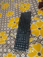 Zebronics keyboard