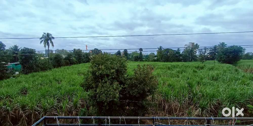 Spacious Land for Rent- 2000 sq.ft
