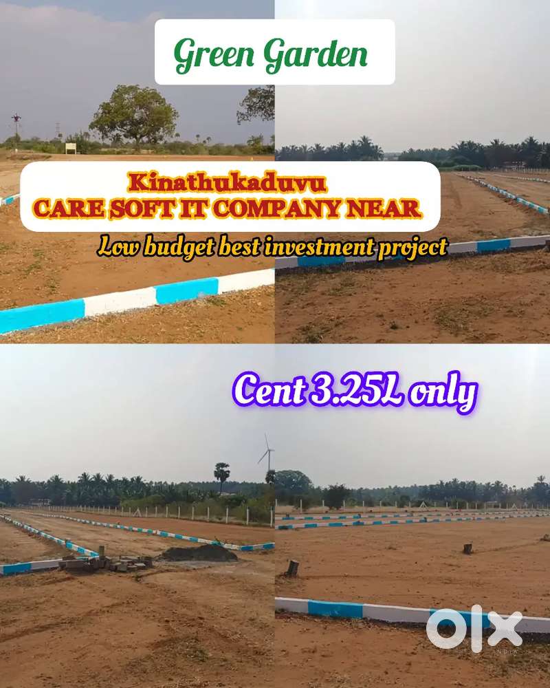 GRAFTS MAN & CARE SOFT IT COMPANY NEAR LOW BUDGET DTCP PROJECT