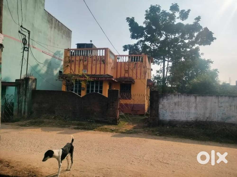 Beautiful house in 97 square gaj plot