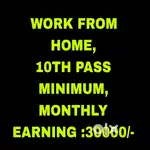 WORK FROM HOME ( HOME BASED WORK)