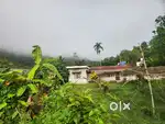 2 ACER LAND WITH A HOMESTAY AND HOMESTAY PERMESSION @WAYANAD FOR SALE