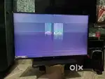 Lg smart TV 55 inch big display.. display problem