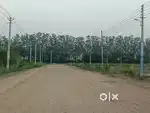 198 gaj, 8 Marla plot for Sale in Huda Sector-25, rohtak