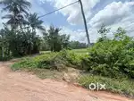 Paddy field land for sale