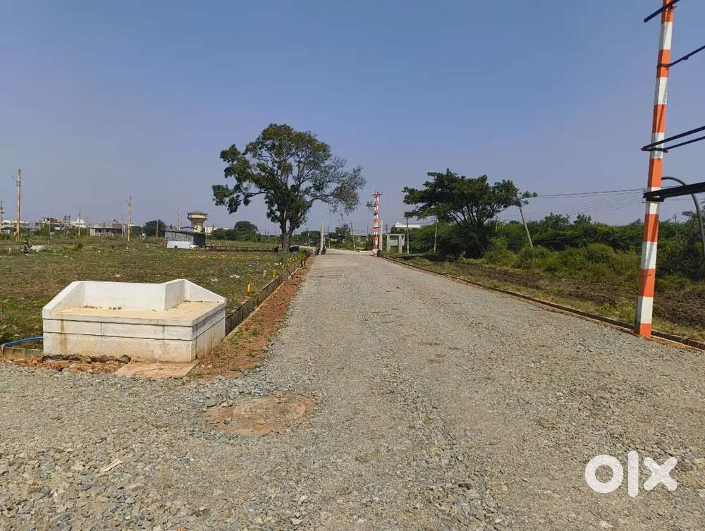 PLOTS FOR SALE NEAR RSS SCHOOL MAMMIGATI