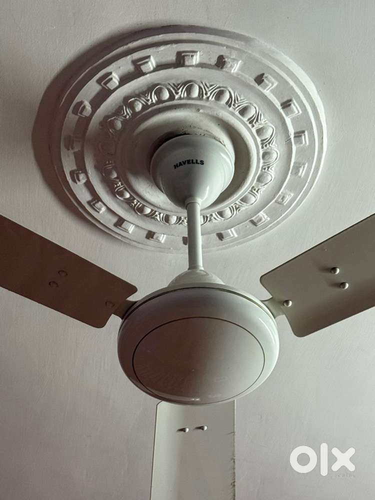Havells Ceiling Fan