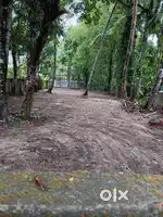 House plot in Aroor prime centre, 15 cents House plot near National Hi