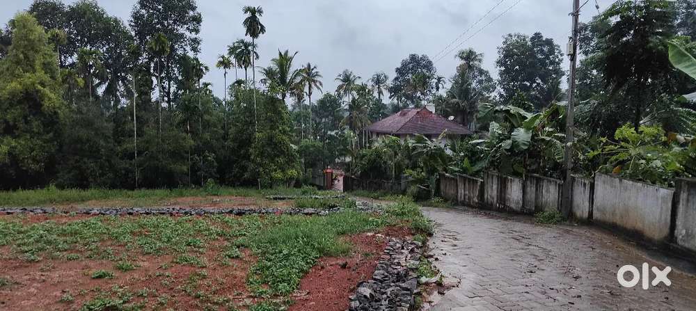 Villa plots in Kizhakambalam