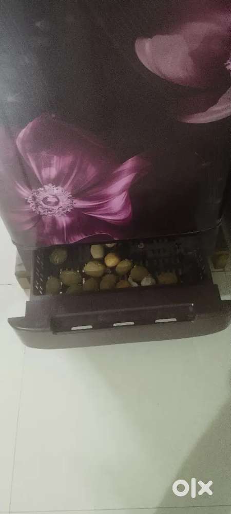 Wonderful Refrigerator of 185 Ltr of Whirlpool