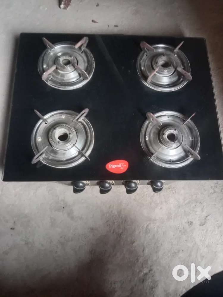 gas pigeon