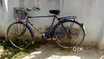 Brand new cycle