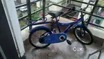 Kids cycle to sell
