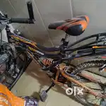 Cyclehercules