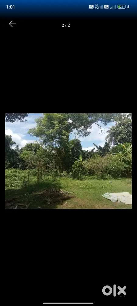 ১ কানি জায়গা বিক্রি করা হবে