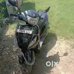 Black beauty