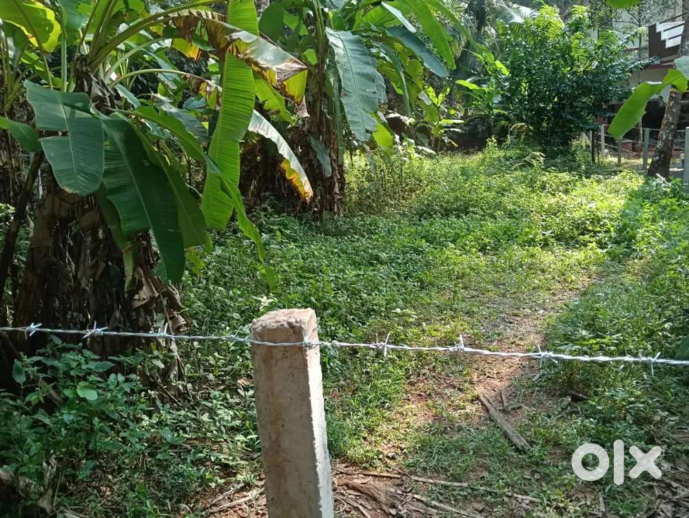 Vadakkumbad Land For Sale