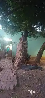 House located in krishnancoil