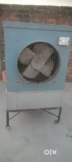 Ayer koolar