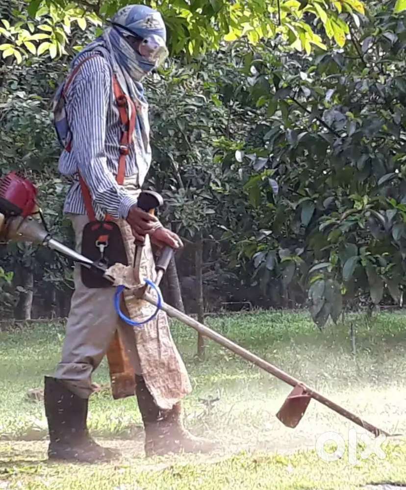 കാടു പുല്ല് വെട്ടികൊടുക്കുന്നു