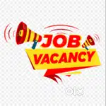 Accountant Required