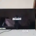 Mitashi. 40in