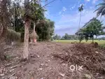 Land near Nh66 100m away from main road