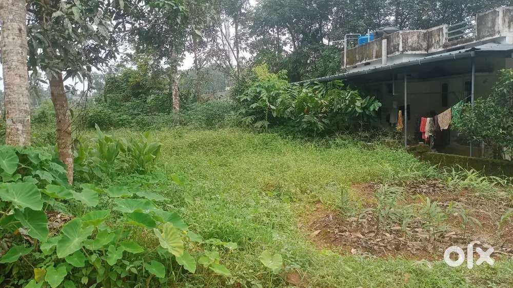 7 മുക്കാൽ സെന്റ് വില്പനക്ക്