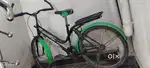 A1 cycle  3 year old