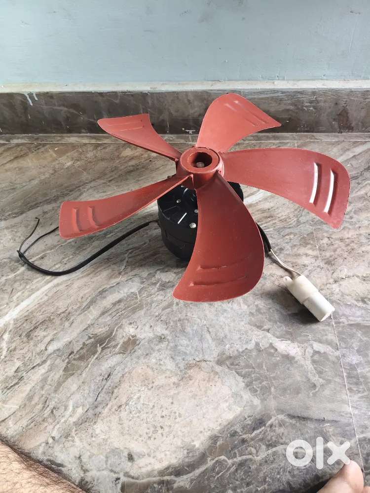 Cooler Motor