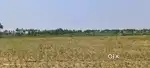Land for sale)(14.1acres