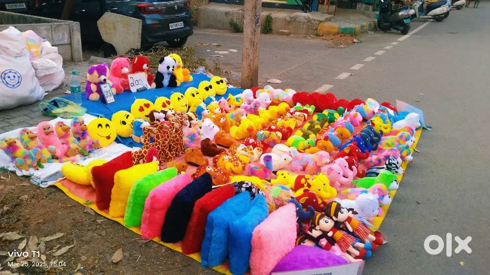 Teddy bear salla man no qualification required no sales target