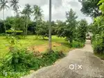 House Plots