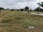 Buy a plot near Sarjapura road